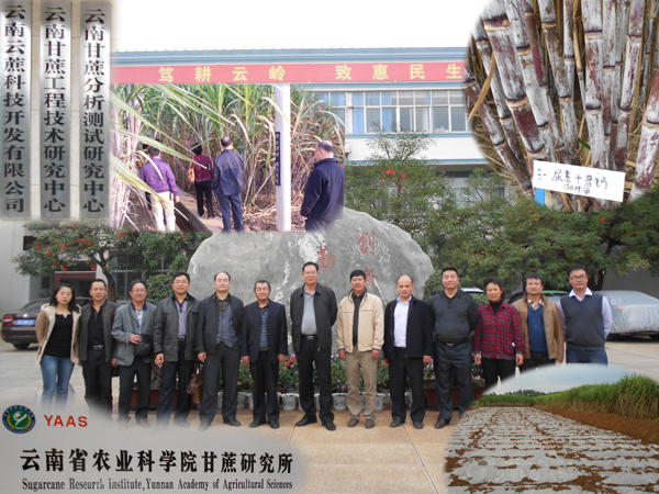 03考察组到云南省甘科所考察学习