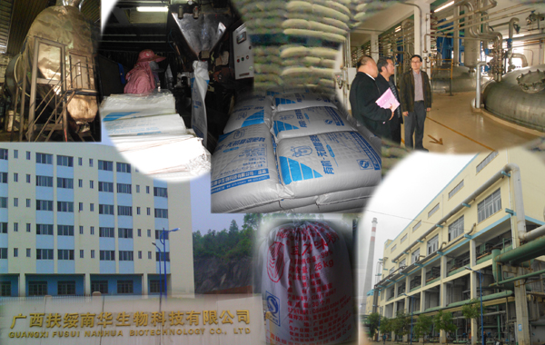 10考察组到扶绥生物公司(东门糖厂)考察学习