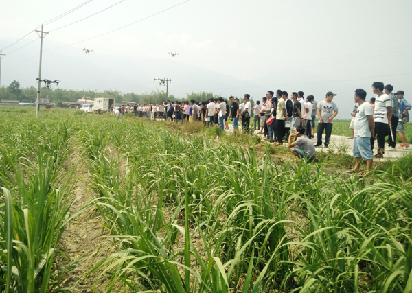 584f0162ee8b1910e8dc581cdb4d241