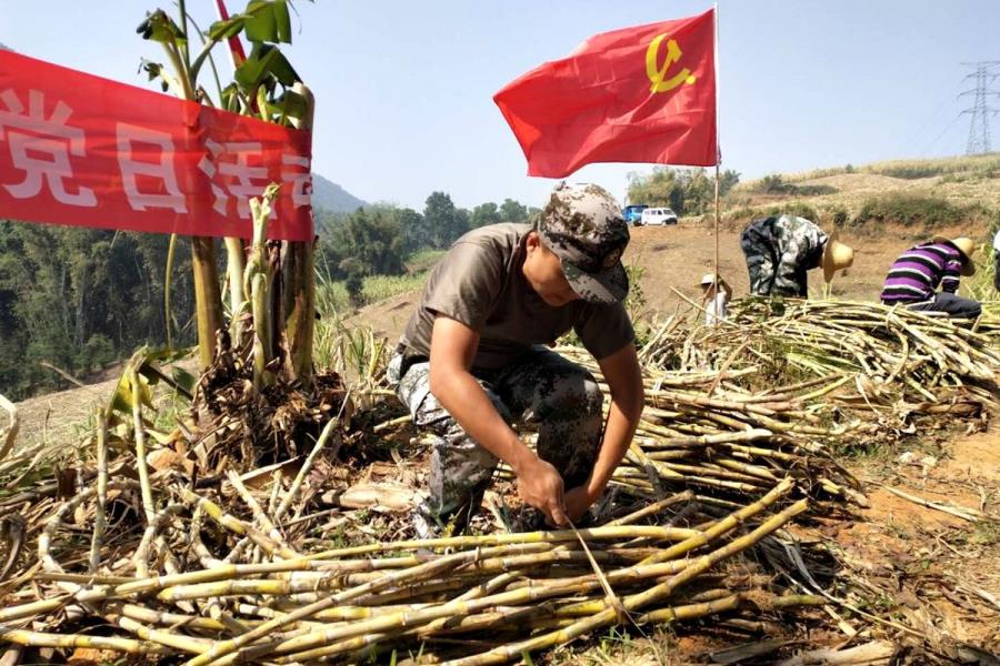 4a9fa30a9caee9984dddcb3bccf2a18c