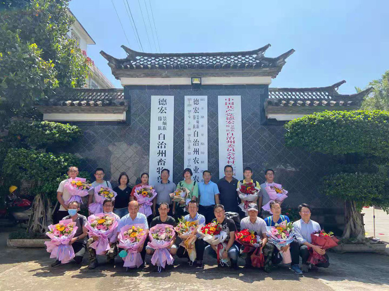 035aa5473c67ec1407ca2ef3fe61644