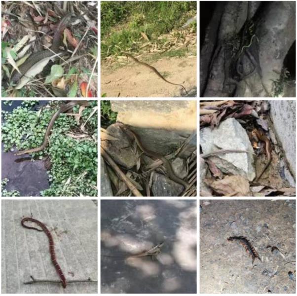 64dd9718fe54d0b2d474e281c7c0868