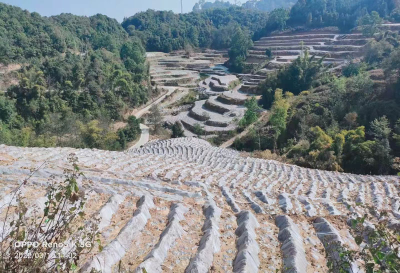 b5e96131a75f76972a01b19f0ffdf20