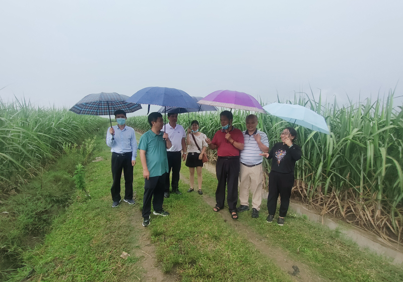 e30dc2bcfa010e3e8b0881237be2f48